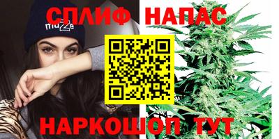 герыч Моздок