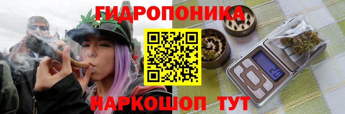 Бошки марихуана OG Kush Кореновск